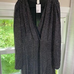H&M Glitter Bodycon Dress